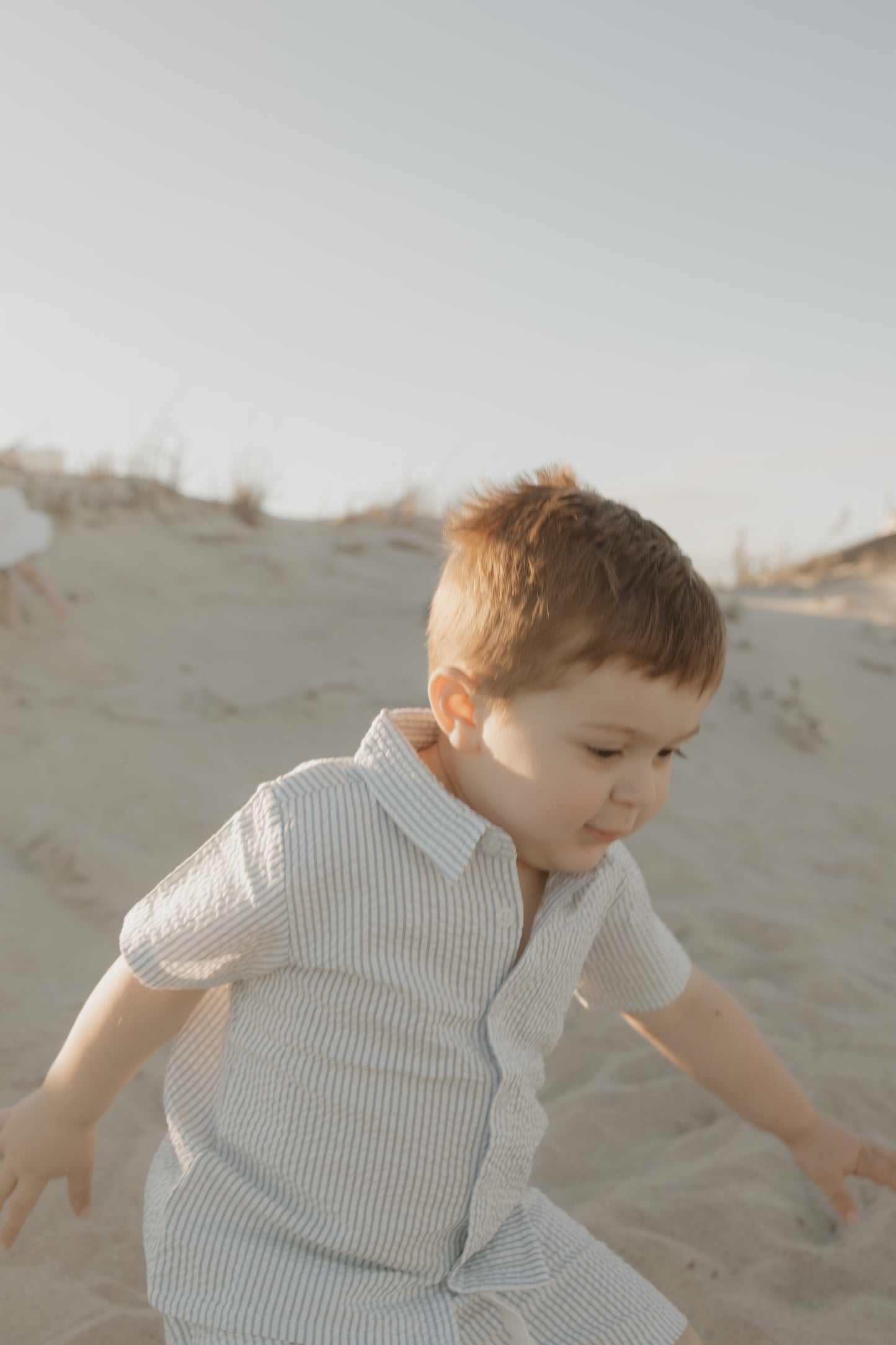 The Dalton Button Down